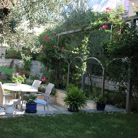 Five Complex In Makarska